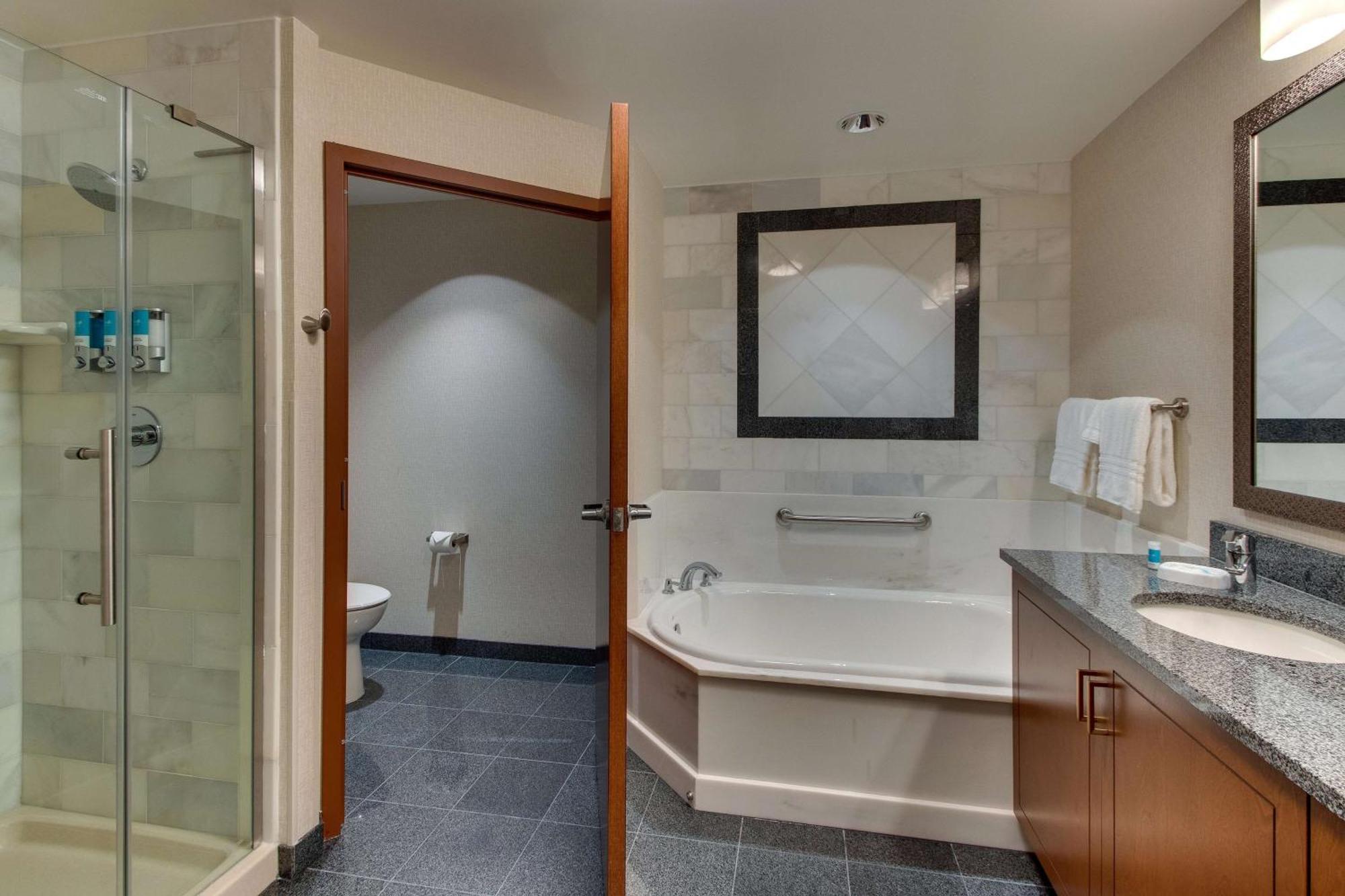 Deluxe King Suite