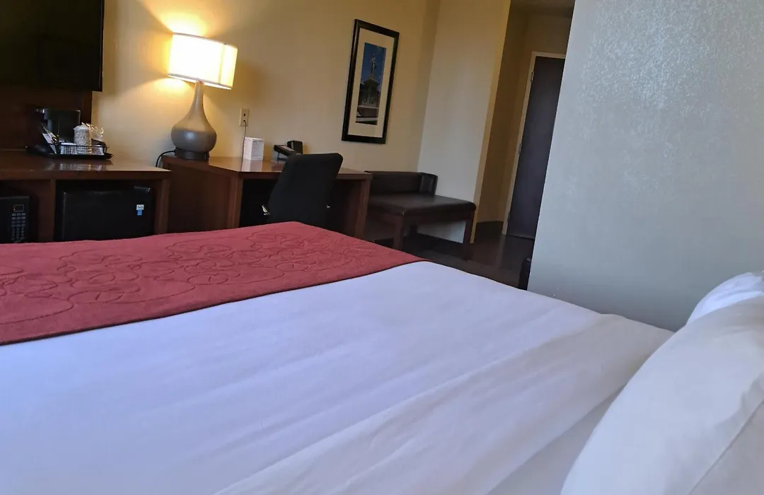 Comfort Suites Nashville Near Percy Priest Lake-1